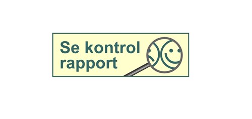 Logo for kontrol rapport
